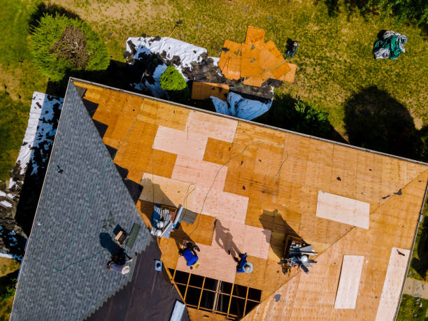 Best Roof Waterproofing Services  in Mccullom Lake, IL
