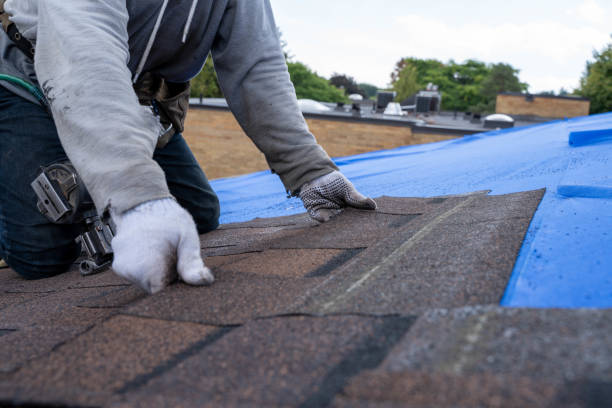 Best Roof Restoration Services  in Mccullom Lake, IL
