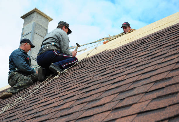 Best Roof Repair Services  in Mccullom Lake, IL