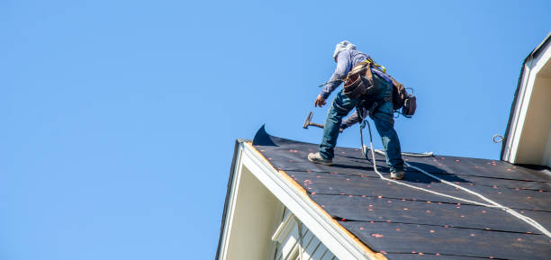 Best Roof Gutter Cleaning  in Mccullom Lake, IL